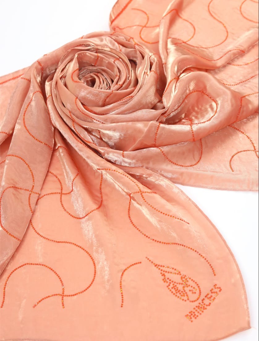 BeingMuslims Graceful Elegant Border Thread Work Organza Hijab Pack of 10